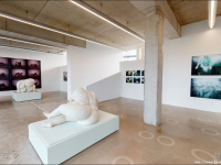 SOLO EXHIBITION NUDE - ARISING FROM THE GROUND - THE RAVESTIJN GALLERY